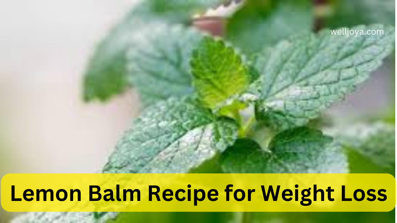 Lemon Balm Recipe for Weight Loss