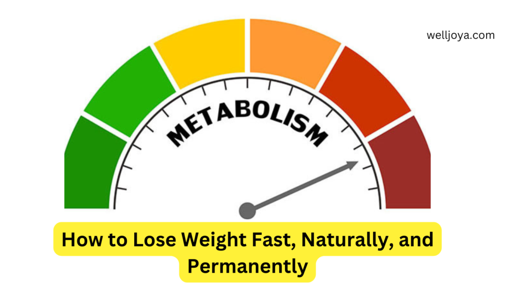 The Role of Metabolism in Weight Loss